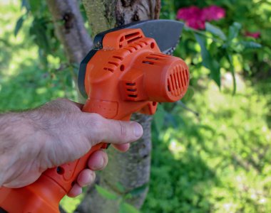 Elinde meyve bahçesindeki şeftali ağacının dallarını budamak için elektrikli testere vardı.