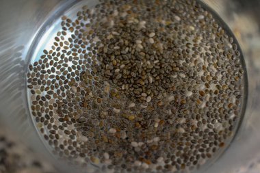 tüketimden önce suyun içinde yüzen sağlıklı chia tohumları