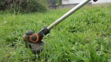 Çimleri biçen küçük bir çalı makası.