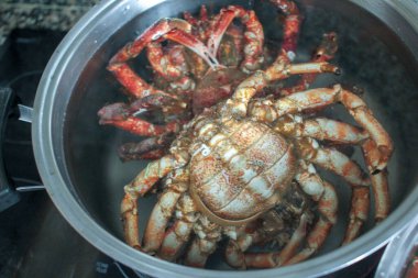 Yengeçler sıcak suda pişmeye başlar.
