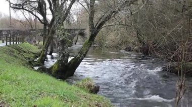 İspanya, Vilalba 'daki Magdalena nehri boyunca pazar yürüyüşü