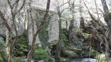 Ribeira Sacra, İspanya 'da eski bir değirmenin yanındaki nehir.