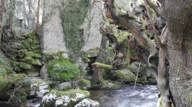 Ribeira Sacra, İspanya 'da nehir kıyısında eski bir değirmen.