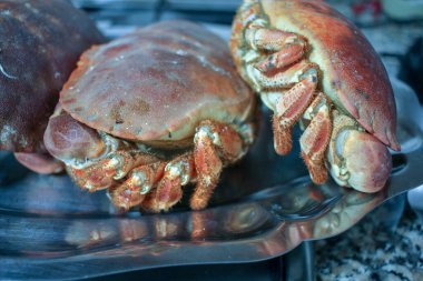 Kahverengi yengeçler evde öğle yemeğinde servis ediliyor.