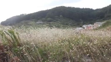 Estaca de Bares, İspanya 'da rüzgarlı bir gün