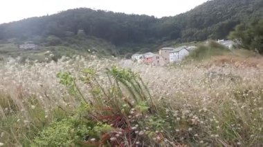 Kıyıya yakın rüzgarlı gün batımı