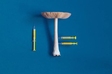 İki şırıngayla birlikte uzun saplı mantar ve yanında mavi arka planda duran bir şırınga. Alternatif tıp ve büyüme ve dönüşüm kavramına yönelik tıbbi araştırma ve uyuşturucu kullanımı.