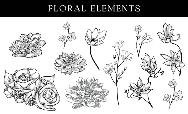 Handgezeichnete Vektor Vintage Elemente Lorbeeren Blätter Blumen Wirbel Und Federn — Stockvektor