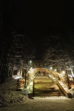 Kışın gece şehir parkı