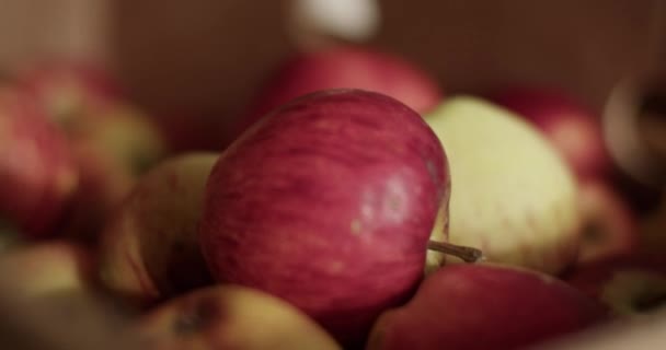 手持式在熟透的红色和黄色闪亮苹果的特写中拍摄 堆放在生态商店出售 — 图库视频影像