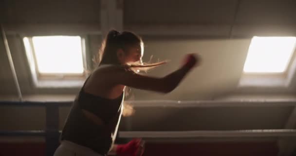 日光のジムでボクシングのワークアウト中に窓と戦う強い女性ボクサーの影のハンドヘルドショット — ストック動画