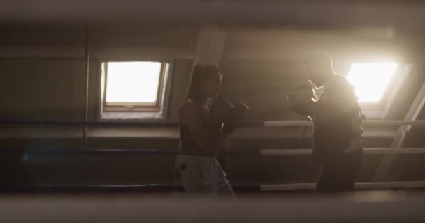 匿名の女性ボクサーと男性コーチボクシングのシルエット一緒に夜の暗い屋根裏部屋ジムでのトレーニング中に窓に対して — ストック動画