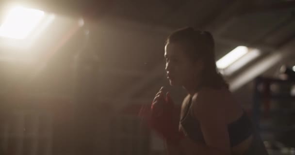 日光ジムでボクシングトレーニング中に窓に対して精力的な女性ボクサーパンチング空気の低角度ハンドヘルドショット — ストック動画