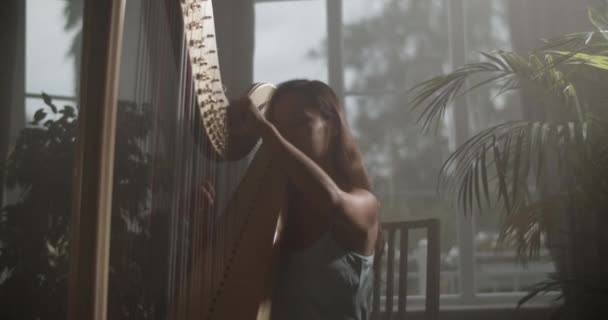 Real Time Handheld Shot Young Tender Talented Female Harpist Elegant — Stock video