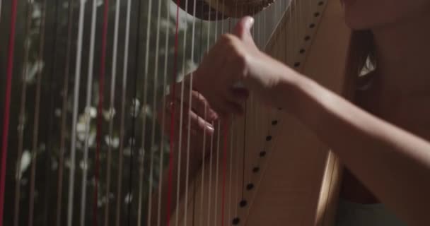 Closeup Handheld Shot Crop Anonymous Skilled Female Harp Player Trucking — Stock video