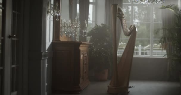 Harp Gerçek Zamanlı Görüntüsü Karanlık Bir Apartmanın Ortasına Yerleştirilmiş Eski — Stok video