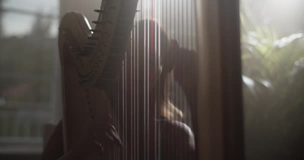 Realtid Handhållen Bild Begåvade Kvinnliga Harpist Gör Vackra Ljud Medan — Stockvideo
