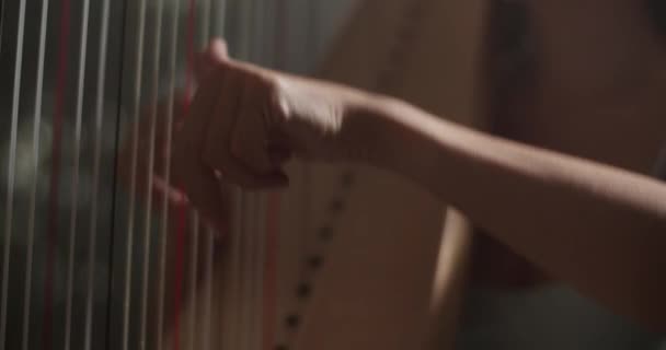 Rack Foco Inclinar Jovem Tenra Fêmea Harpa Jogador Sentado Estúdio — Vídeo de Stock