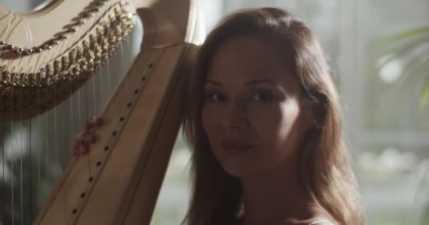 Tiro Mão Tempo Real Jovem Harpista Profissional Feminino Com Cabelo — Vídeo de Stock