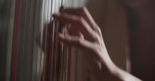 Nahaufnahme Einer Anonymen Harfenspielerin Die Bei Einem Klassischen Auftritt Studio — Stockvideo