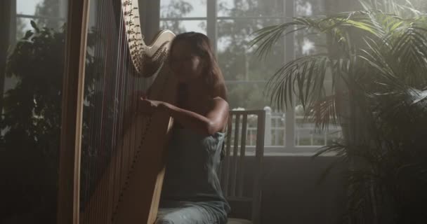 Real Time Handheld Shot Young Tender Talented Female Harpist Elegant — Stock video