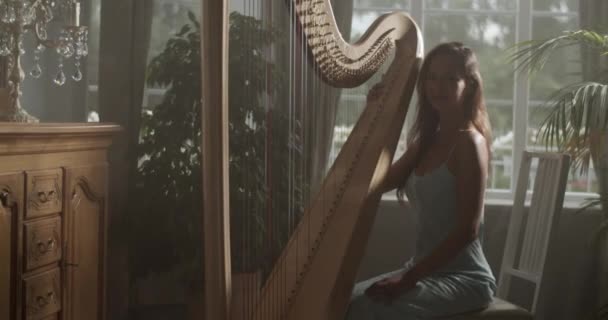 Tiro Mão Tempo Real Jovem Músico Feminino Sorridente Gentil Sentado — Vídeo de Stock
