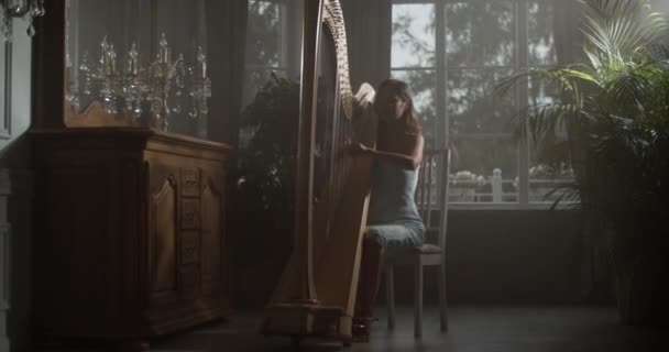 年轻温文尔雅的女竖琴手手握实景照片 坐在有老式内饰和盆栽的公寓椅子上 一边弹琴一边欣赏音乐 — 图库视频影像