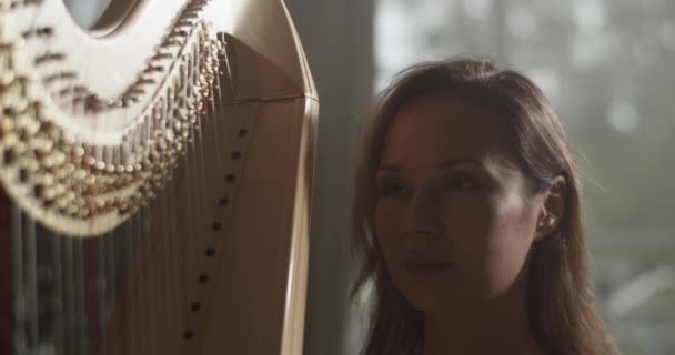 Real Time Handheld Shot Van Jonge Sensuele Vrouwelijke Muzikant Zitten — Stockvideo