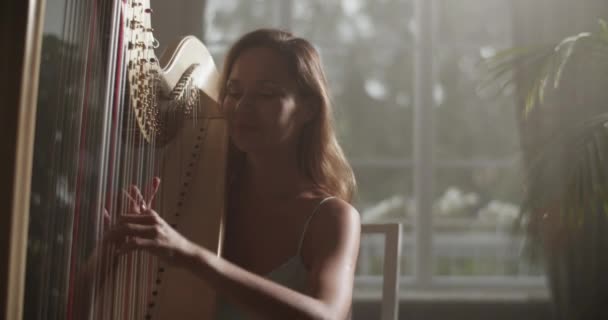 Uzun Sarı Saçlı Kamerasıyla Gülümseyen Genç Bayan Müzisyenin Belirsiz Bir — Stok video