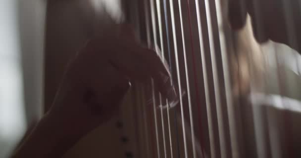 Szoros Kézifegyver Egy Névtelen Női Zenészről Aki Húrokra Teszi Ujját — Stock videók