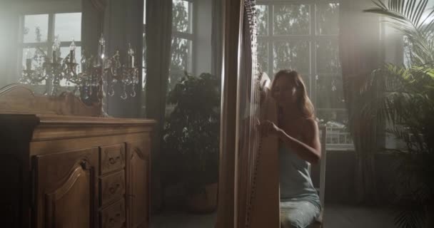 Realtid Handhållen Skott Unga Anbud Begåvade Kvinnliga Harpist Elegant Klänning — Stockvideo