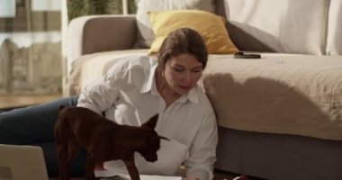 Gerçek zamanlı yetişkin bir kadın, elinde dizüstü bilgisayarla yere yatıp çalışırken belgeye bakıyor ve evde öpüşürken kalemle köpek burnunu okşuyor.