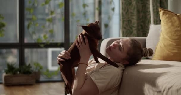 Oturma Odasında Oynarken Kanepenin Üzerinde Dinlenen Evcil Köpeğini Kucaklayan Mutlu Video Klip