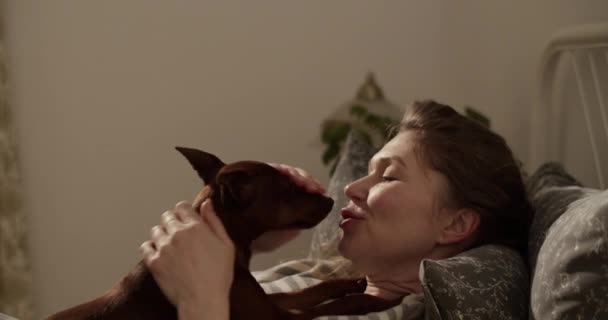 Yetişkin Bir Kadının Yatakta Uyurken Evcil Hayvan Gözlemlemesi Öpüşen Bir — Stok video