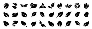 farklı gree nleaves şekilleri izole edilmiş beyaz yaprak vektör ikonu koleksiyonu tasarımı