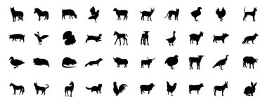 Beyaz arka planda izole edilmiş hayvan vektör siluetleri. Çiftlik hayvanları ikonları. Kümes hayvanları, sığırlar, kediler, köpekler.