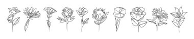 Devamlı çizim tarzında soyut bir çiçek. Bir sıra çiçek çizimi. Modern Minimalist