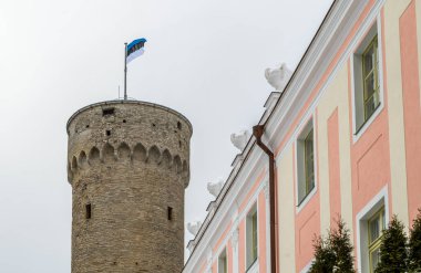 Pikk Hermann (Almanca: Langer Hermann), Estonya 'nın başkenti Tallinn' deki Toompea tepesindeki Toompea Kalesi 'nin kulesi.