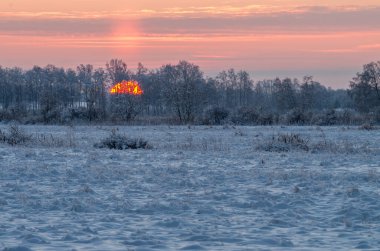Karlı, soğuk tarlada gün doğumu soğuk sıcaklık