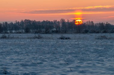 Karlı, soğuk tarlada gün doğumu soğuk sıcaklık