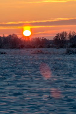 Karlı, soğuk tarlada gün doğumu soğuk sıcaklık