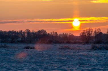 Karlı, soğuk tarlada gün doğumu soğuk sıcaklık