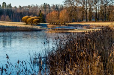 Puhajarve Gölü 'nde soğuk bir sabah. Önünde kuyruk kuyruğu var.