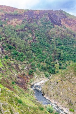 516 Arouca 'dan görüntüler orman yangınından sonra Portekiz' in en uzun asma köprüsü.