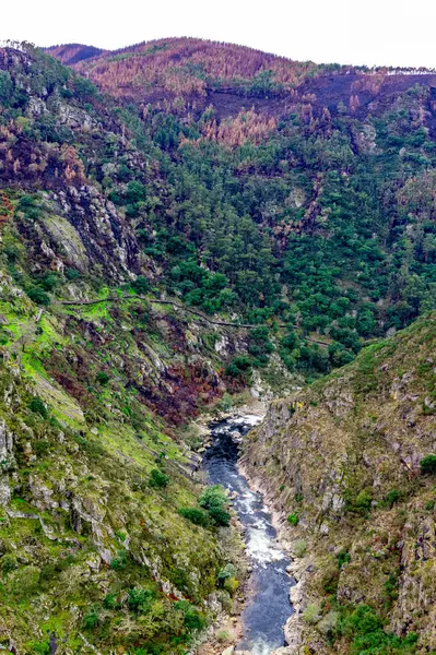 516 Arouca 'dan görüntüler orman yangınından sonra Portekiz' in en uzun asma köprüsü.