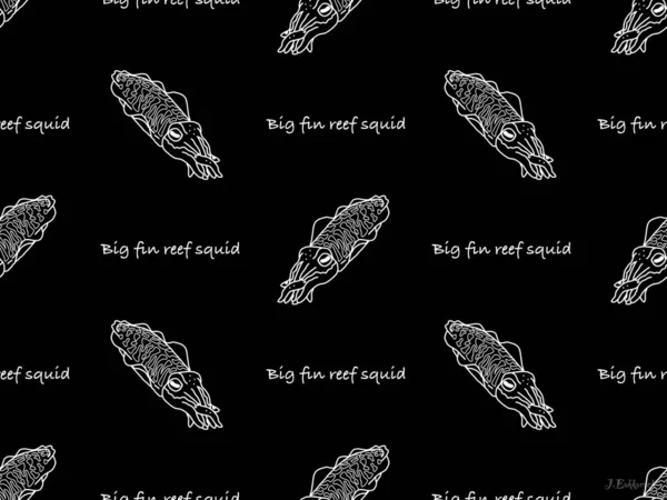 Big Fin Reef Squid Kreslený Znak Bezešvé Vzor Černém Pozadí — Stock fotografie