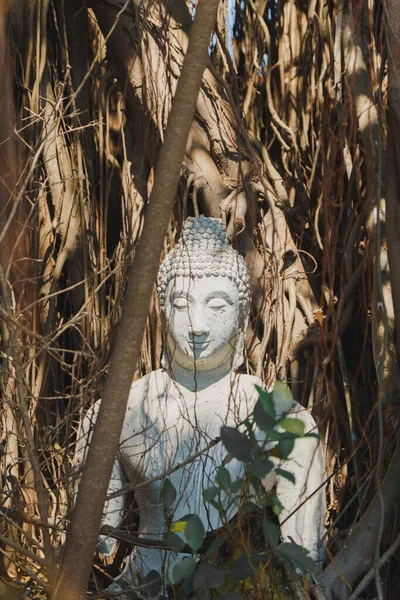 Samut Songkhram Ταϊλάνδη Απριλίου 2022 Λευκός Βούδας — Φωτογραφία Αρχείου