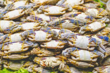 Lots of fresh blue crabs arranged beautifully