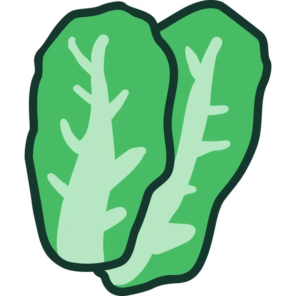 Chinese Cabbage Cartoon Icon Style — Vector de stock
