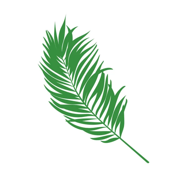 Groene Vector Palmblad Geïsoleerd Witte Achtergrond — Stockvector